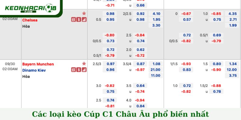 Các loại kèo Cúp C1 Châu Âu phổ biến nhất
