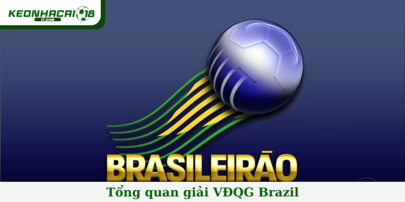 Tổng quan giải VĐQG Brazil