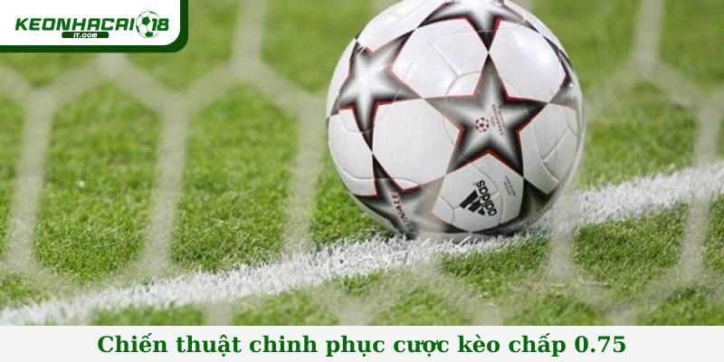 Chiến thuật chinh phục cược kèo chấp 0.75