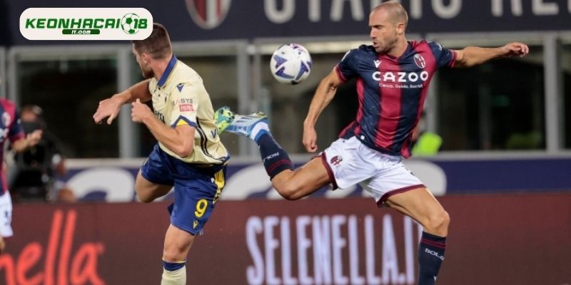 Soi kèo Bologna vs Hellas Verona trong giải Serie A 2026
